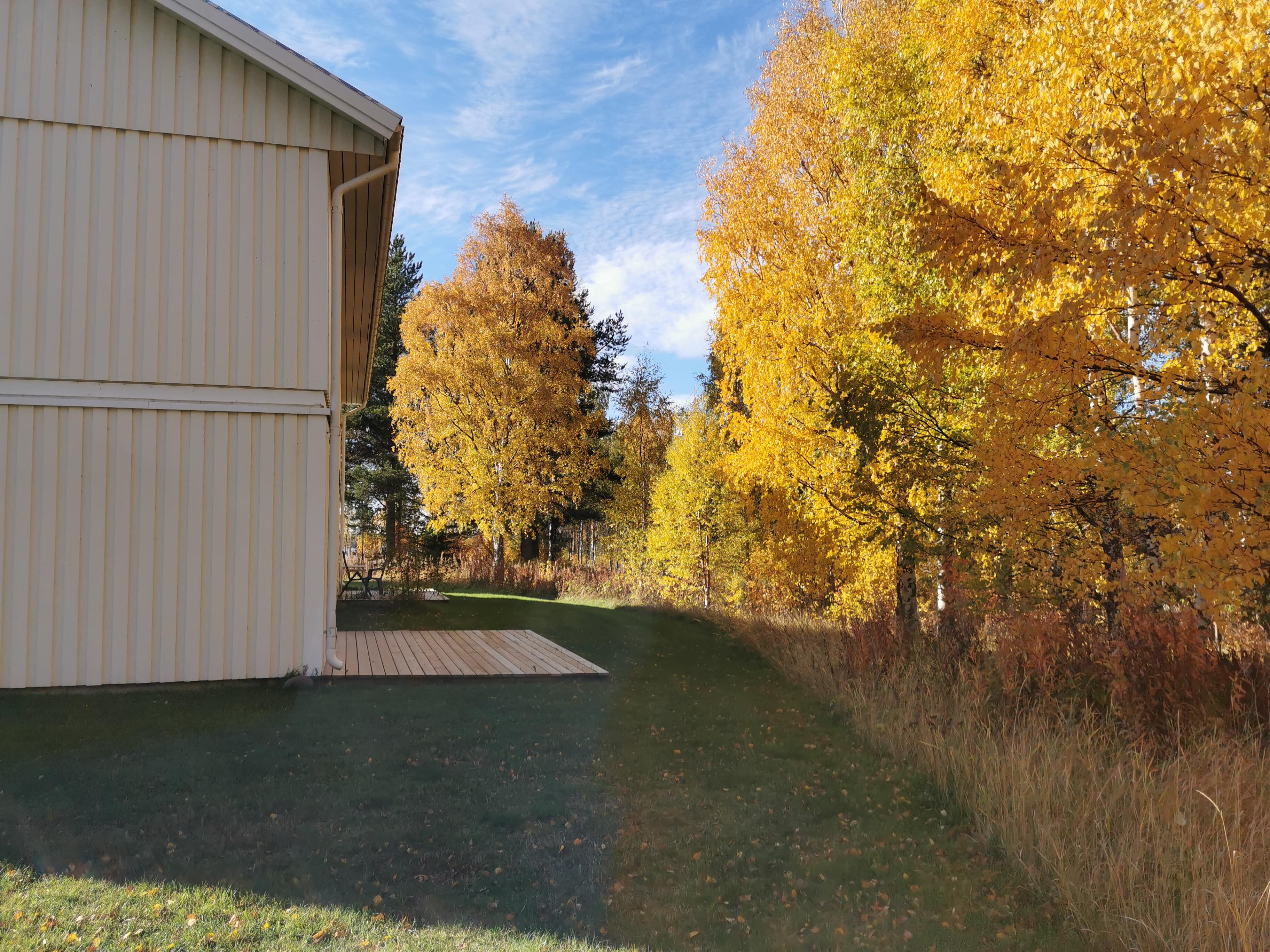 Fridhemsvägen 40 B, 953 94, Seskarö 2